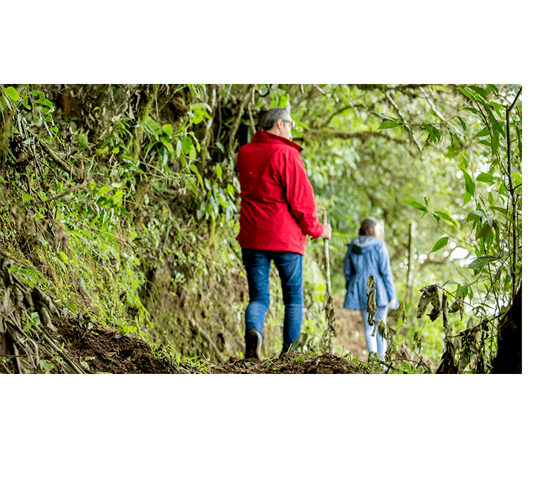 Hiking_Interna_seccion_actividades
