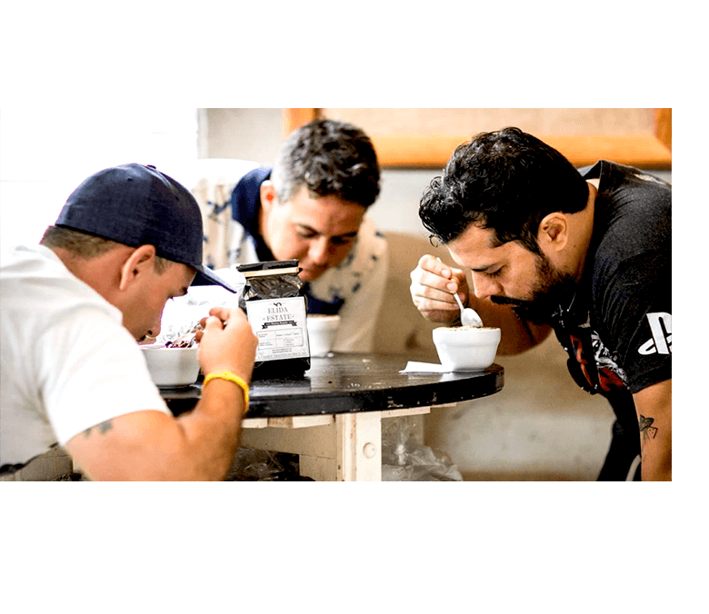 Tour_Cafe_Interna_seccion_actividades